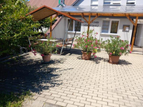 Zalaegerszegi